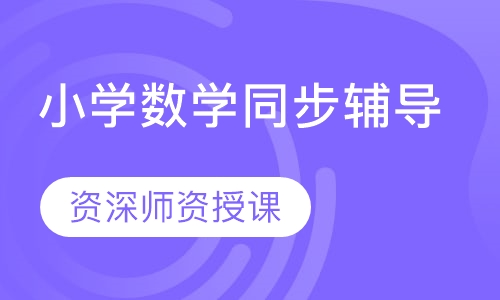 小学数学同步辅导课程