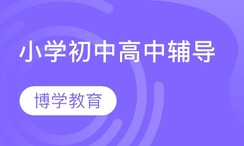 小学初中高中辅导