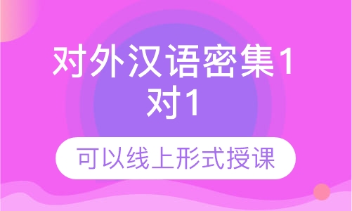 对外汉语密集1对1