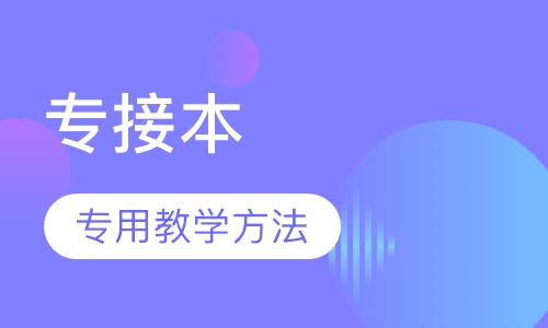 专接本极品小班
