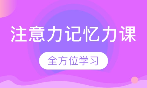 注意力记忆力课