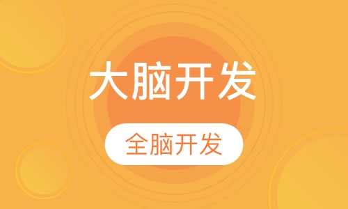 暑期活动专属定制专注力培养课包