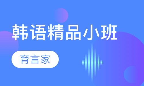 录播课+直播课+直播课韩语精品小班