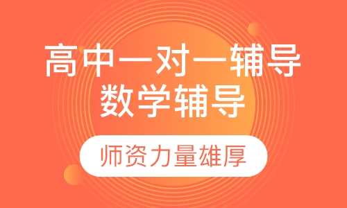 高中一对一辅导数学辅导