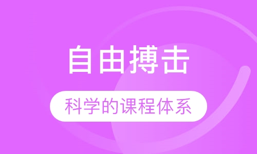自由搏击