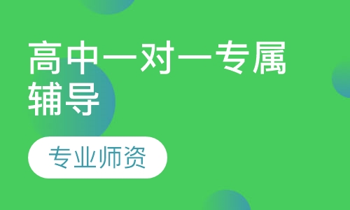 高中一对一专属辅导