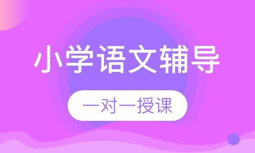 小学一对一语文辅导