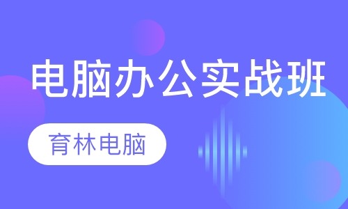 电脑办公实战班