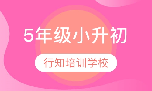 5年级小升初