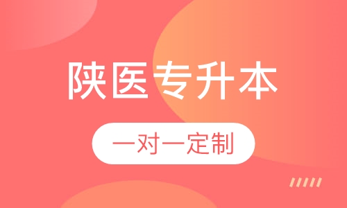 陕西中医药大学专升本
