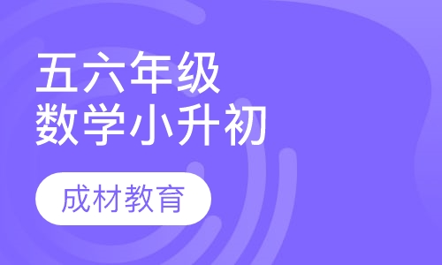 五、六年级数学小升初课程