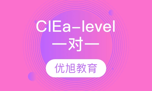 CIE a-level脱产全封闭一对一经济类组合1
