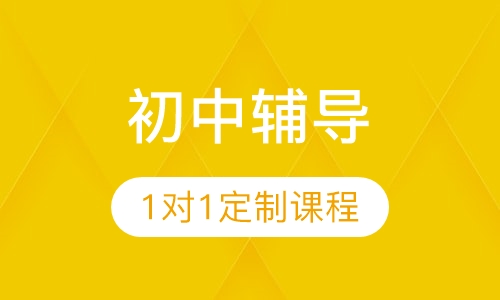 初中暑假1对1定制课程