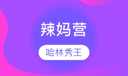 辣妈营