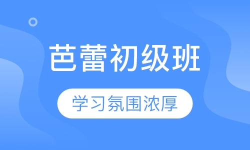 芭蕾初级班