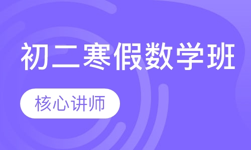 初二寒假数学班