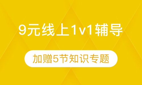9元线上1对1+5节知识点专题课