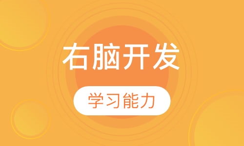 3-6岁右脑开发金牌课程