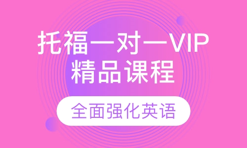 托福一对一VIP精品课程