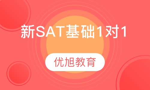新SAT基础1对1