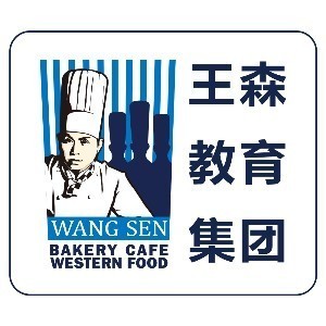北京王森