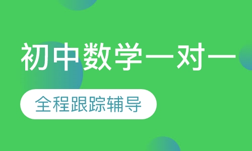 初中数学一对一