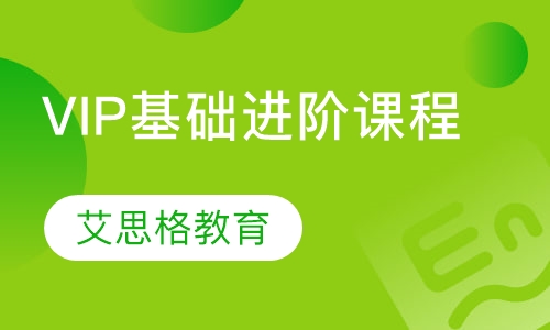 VIP基础进阶课程