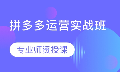 拼多多运营实战班