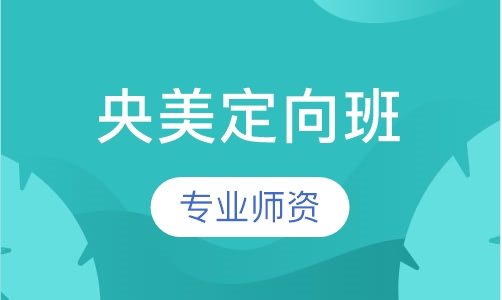 央美定向班