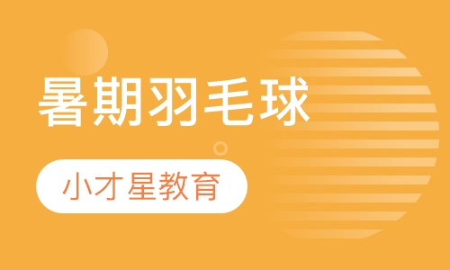 暑期羽毛球