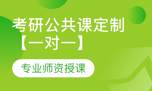 考研公共课定制【一对一】课程班