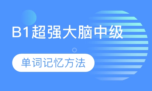 B1超强大脑中级课程