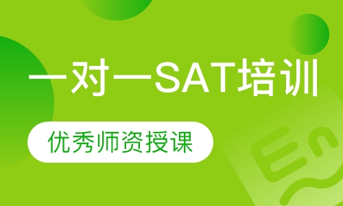 一对一SAT培训