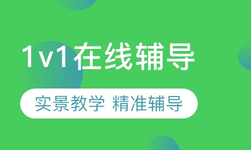 1对1在线辅导