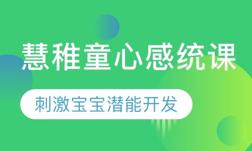 慧稚童心感统课一 出生5天到3岁