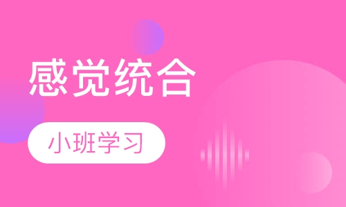 感觉统合培训