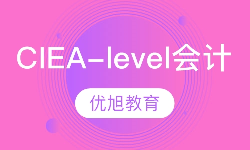 CIE A-level 会计小班