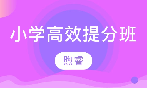 小学高效提分班