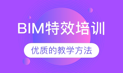 BIM特效培训