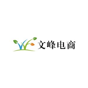 珠海文峰电商培训