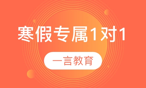 寒假辅导专属1对1
