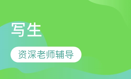 写生课程