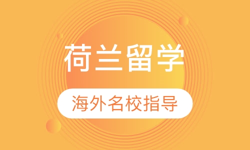 荷兰海外名校DIY指导