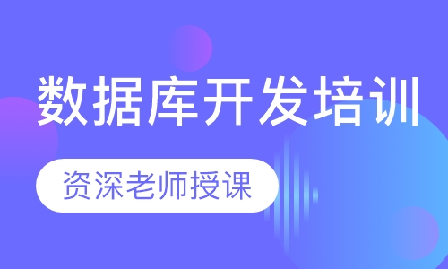 数据库开发培训