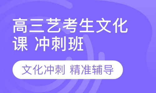 高三艺考生文化课 冲刺班