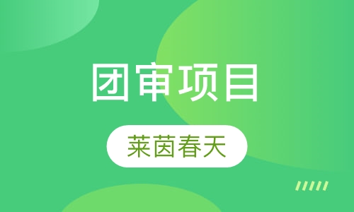 团审项目