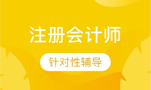 注册会计师习题班