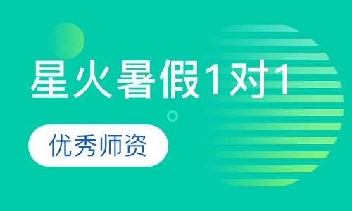 星火暑假1对1