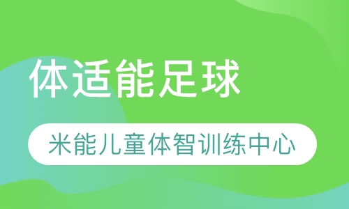 体适能足球
