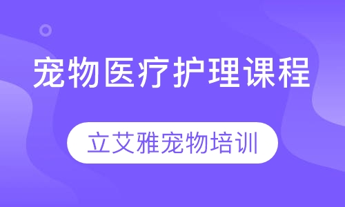 宠物医疗护理课程
